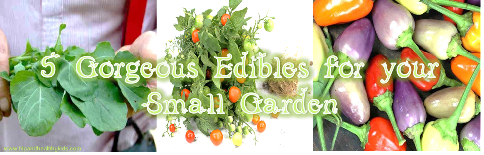 5 Gorgeous Edibles for your Small Garden